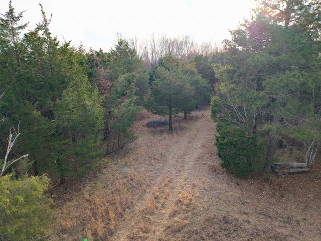 0 Mount Olive Rd, Westmoreland, TN 37186