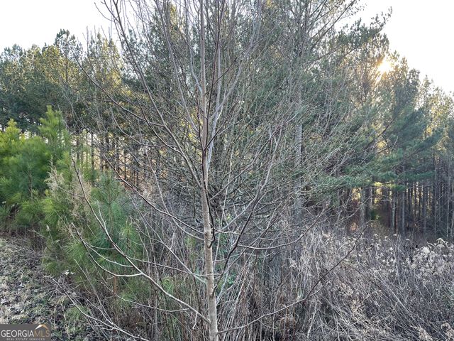 LOT 39 Pinehurst 39, Blairsville, GA 30512