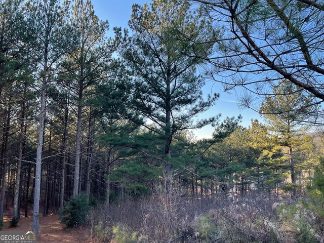 LOT 39 Pinehurst 39, Blairsville, GA 30512