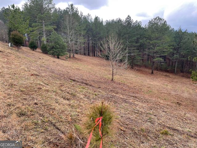 LOT 39 Pinehurst 39, Blairsville, GA 30512