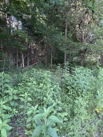 1988 Fayetteville Hwy, Belfast, TN 37019