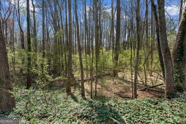 3222 Crossing Drive, Snellville, GA 30078