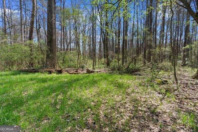 3222 Crossing Drive, Snellville, GA 30078