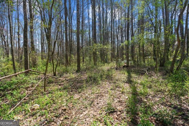 3222 Crossing Drive, Snellville, GA 30078