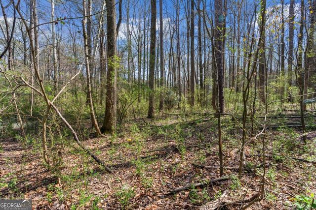 3222 Crossing Drive, Snellville, GA 30078