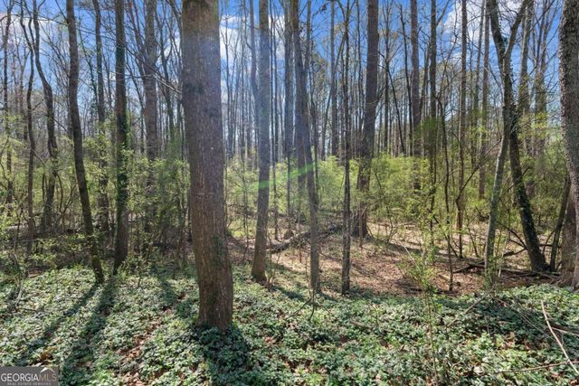 3222 Crossing Drive, Snellville, GA 30078