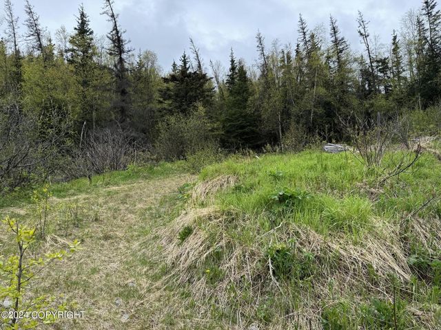 L3 B1 Timberline Drive, Eagle River, AK 99577