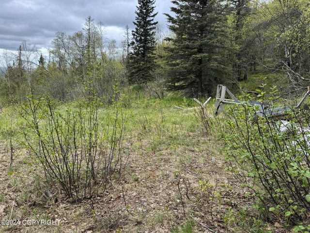 L3 B1 Timberline Drive, Eagle River, AK 99577