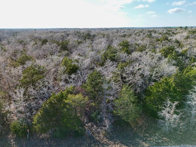 Lot 8 South Old Potato RD, Paige, TX 78659