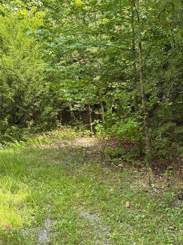 00 Mountain Lake Circle 55, Pikeville, TN 37367
