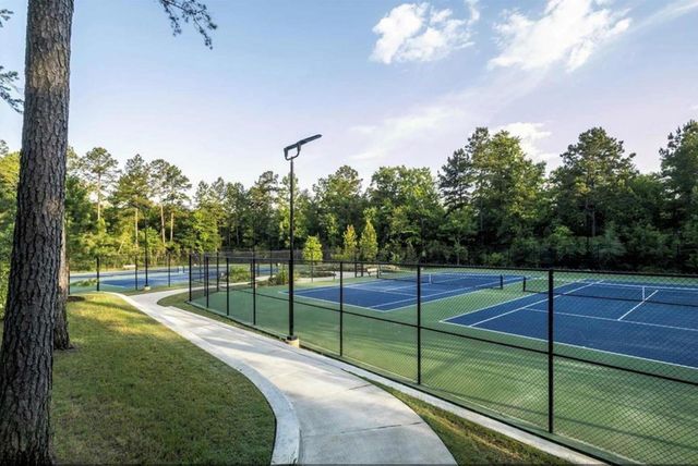 644 Crested Duck Court, Willis, TX 77318