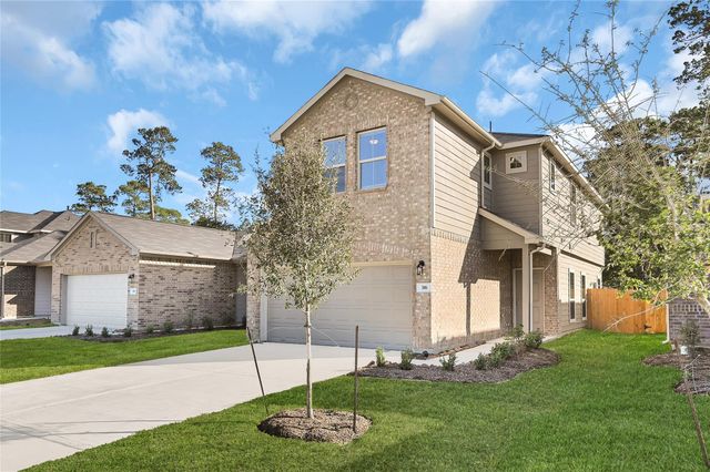 10256 Badger Run Lane, Magnolia, TX 77354