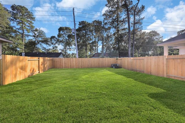 10256 Badger Run Lane, Magnolia, TX 77354