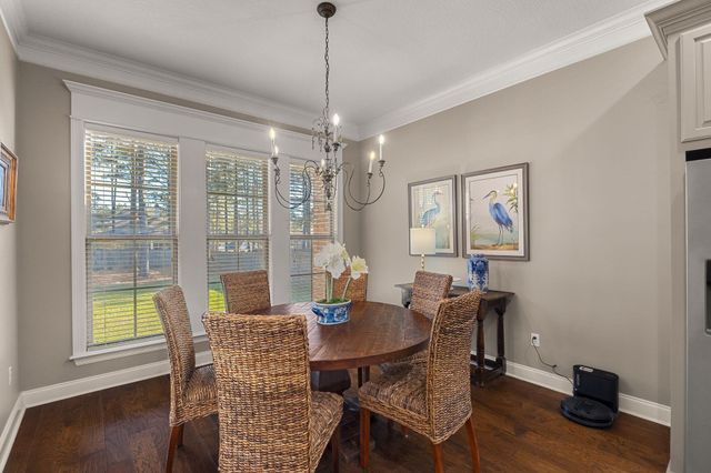 27 Bengal, Hattiesburg, MS 39402