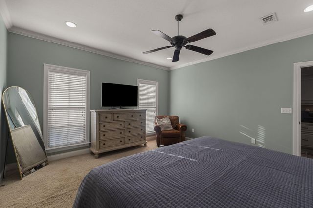 27 Bengal, Hattiesburg, MS 39402