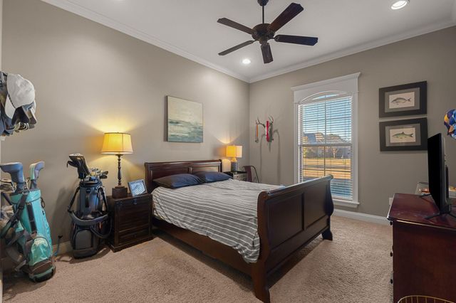 27 Bengal, Hattiesburg, MS 39402