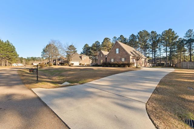 27 Bengal, Hattiesburg, MS 39402