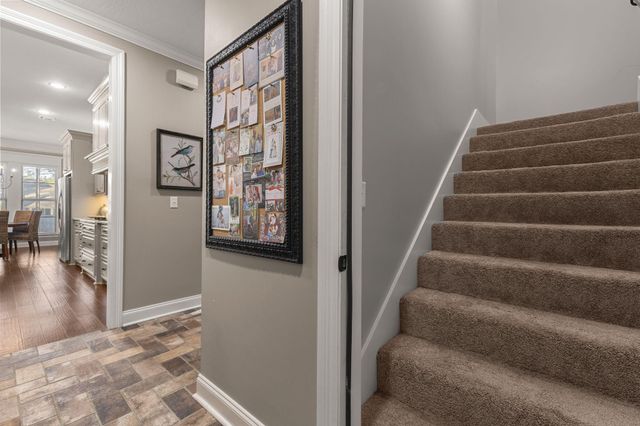 27 Bengal, Hattiesburg, MS 39402