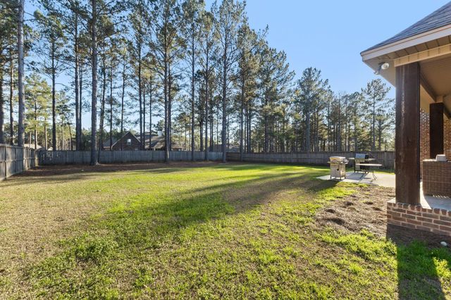 27 Bengal, Hattiesburg, MS 39402