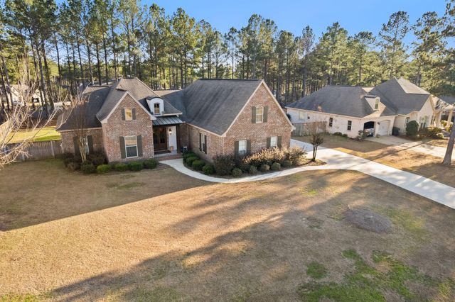 27 Bengal, Hattiesburg, MS 39402