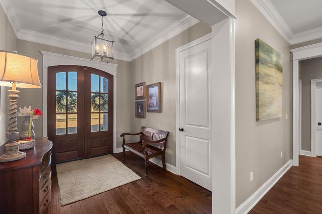 27 Bengal, Hattiesburg, MS 39402