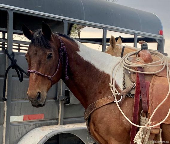 20745 Silverado Hill View, Colorado Springs, CO 80928