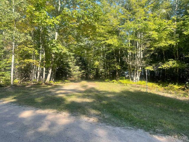 14345 Nahma Shores Dr Drive, Nahma, MI 49864