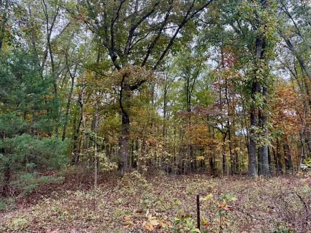 000 Spout Spring Road, Fordland, MO 65652