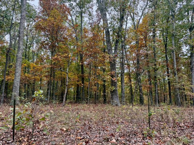 000 Spout Spring Road, Fordland, MO 65652