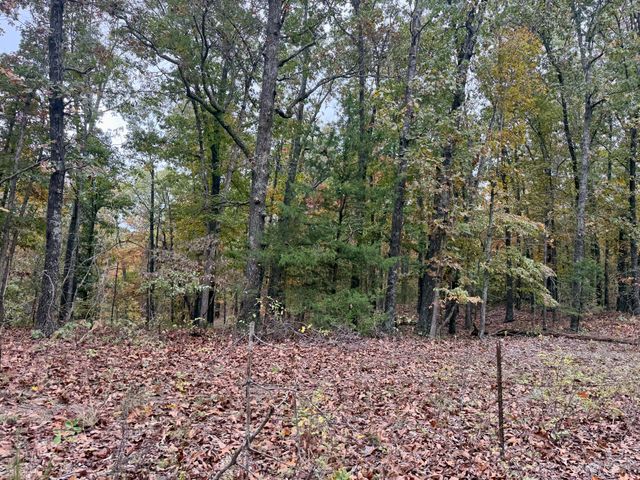 000 Spout Spring Road, Fordland, MO 65652