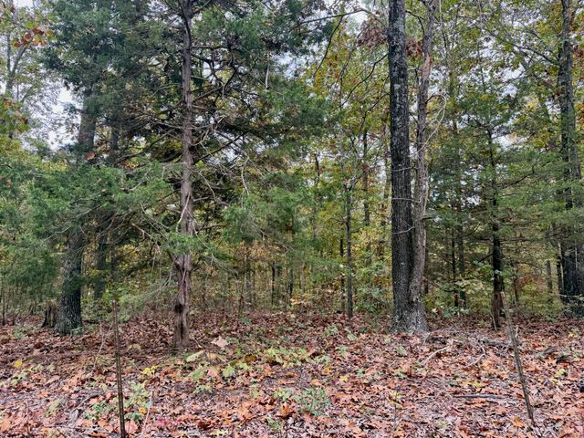 000 Spout Spring Road, Fordland, MO 65652