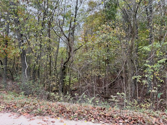 000 Spout Spring Road, Fordland, MO 65652