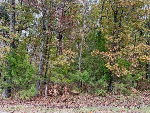 000 Spout Spring Road, Fordland, MO 65652