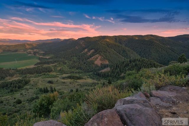 1525 Wagon Road, Swan Valley, ID 83449