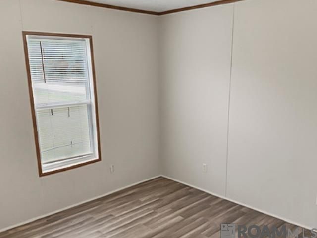 28498 Lindsey Tabor Rd, Holden, LA 70744