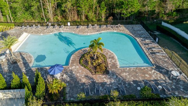 16012 MICELLI DRIVE, Winter Garden, FL 34787