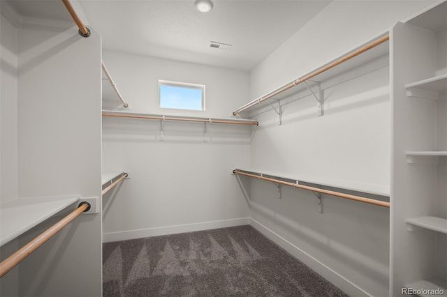 1109 White Clover Drive, Monument, CO 80132