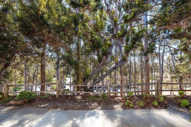 3035 Via Amador, Carlsbad, CA 92010