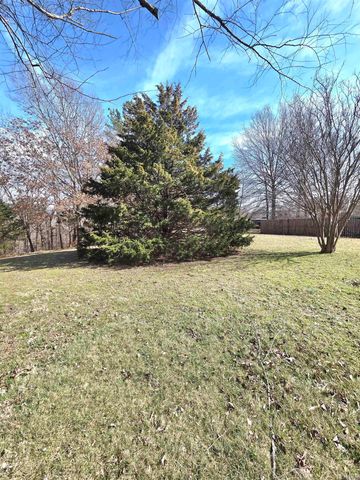 3201 McKinney Street, Mountain View, AR 72560