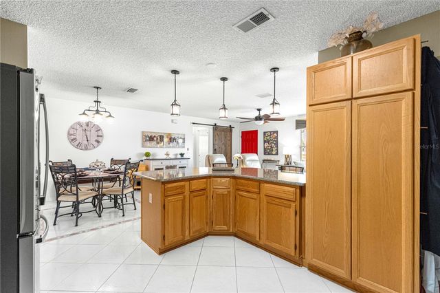 674 CAMINO DEL REY DRIVE, The Villages, FL 32159