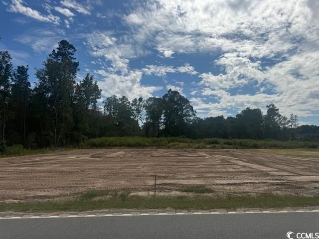 200 Zion Rd., Galivants Ferry, SC 29544