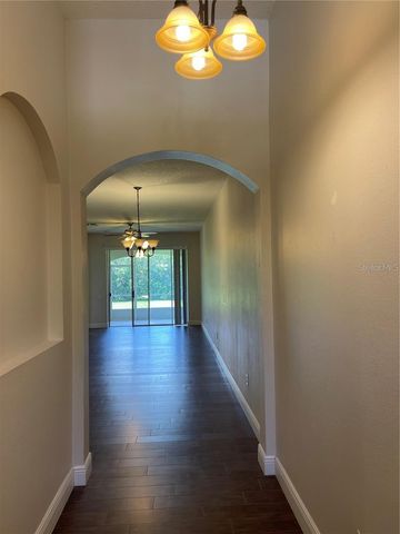 3249 RIVER BRANCH CIRCLE, Kissimmee, FL 34741