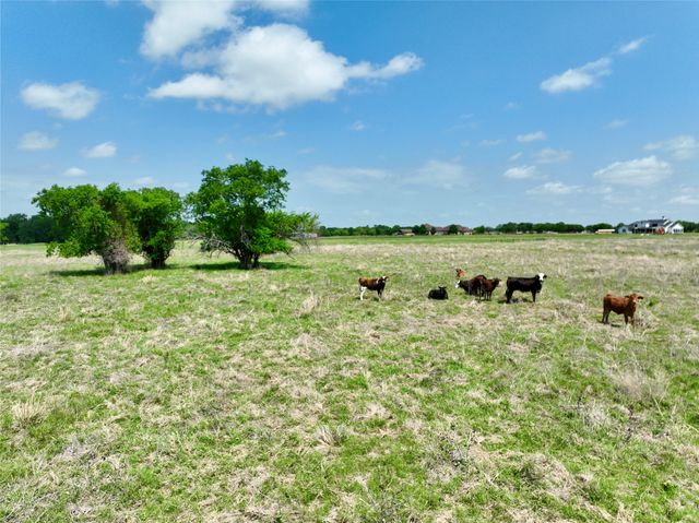 TBD 11 acres Fm 1183, Alma, TX 75119