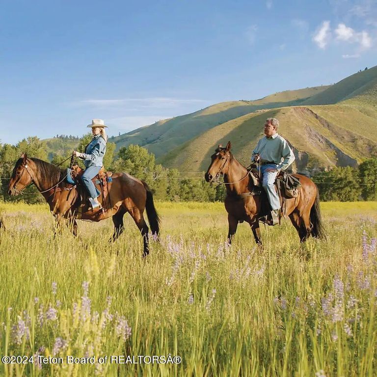 15280 S WAGON Road, Jackson, WY 83001 photo 23