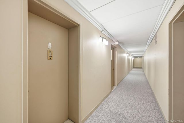 11 Park Avenue 6V, Mount Vernon, NY 10550