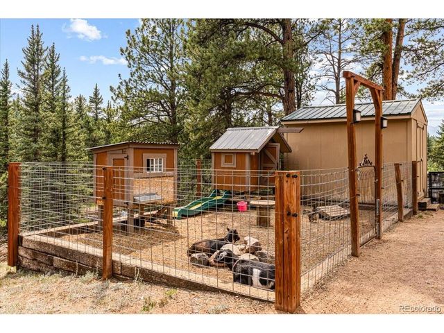 2185 Mount Evans Blvd, Pine, CO 80470
