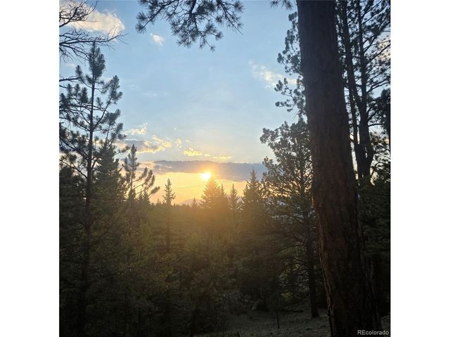 2185 Mount Evans Blvd, Pine, CO 80470
