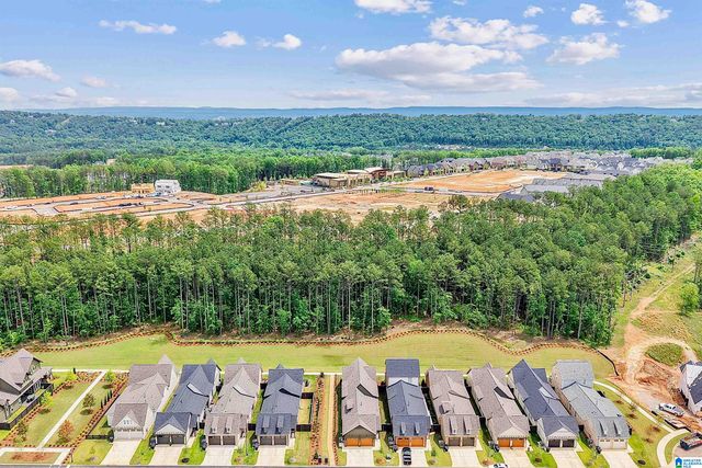 4074 ADRIAN STREET, Hoover, AL 35244