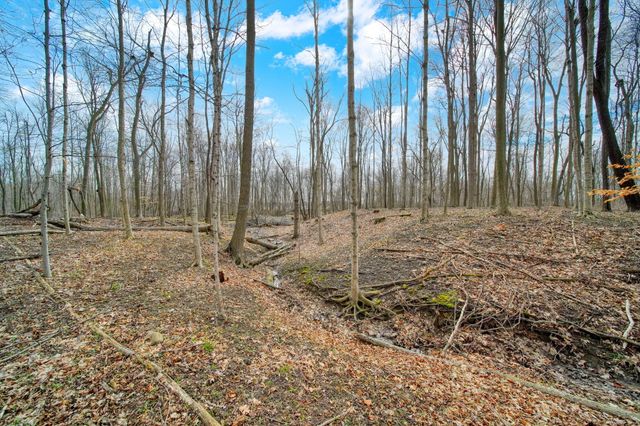 4705 Whig Highway, Madison Twp, MI 49235