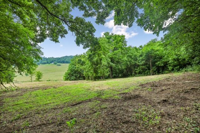 0 Hix Road, Gordonsville, TN 38563